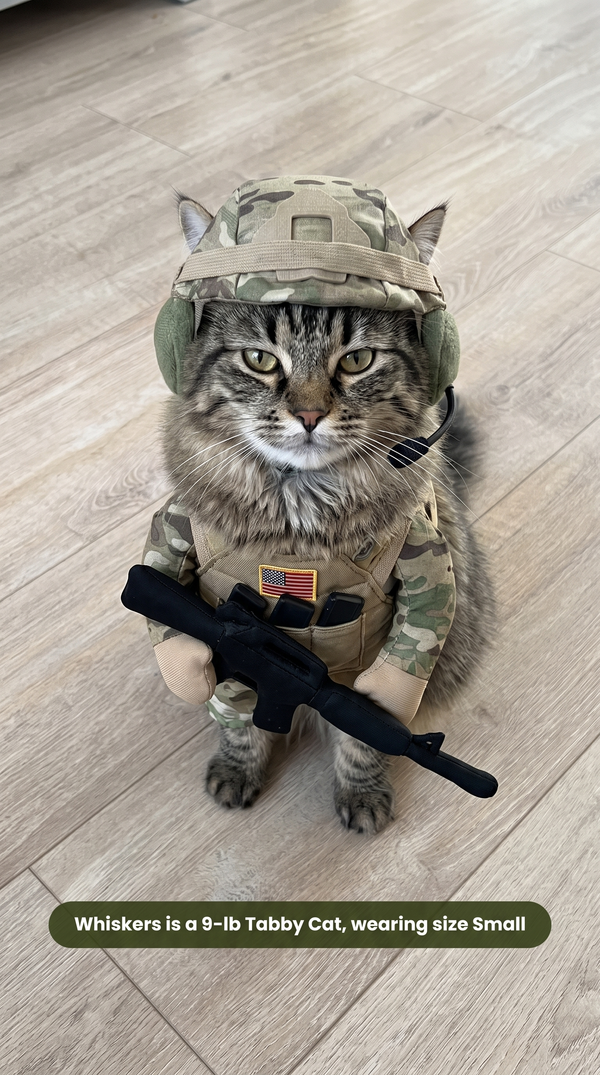 Cat Commando Gear